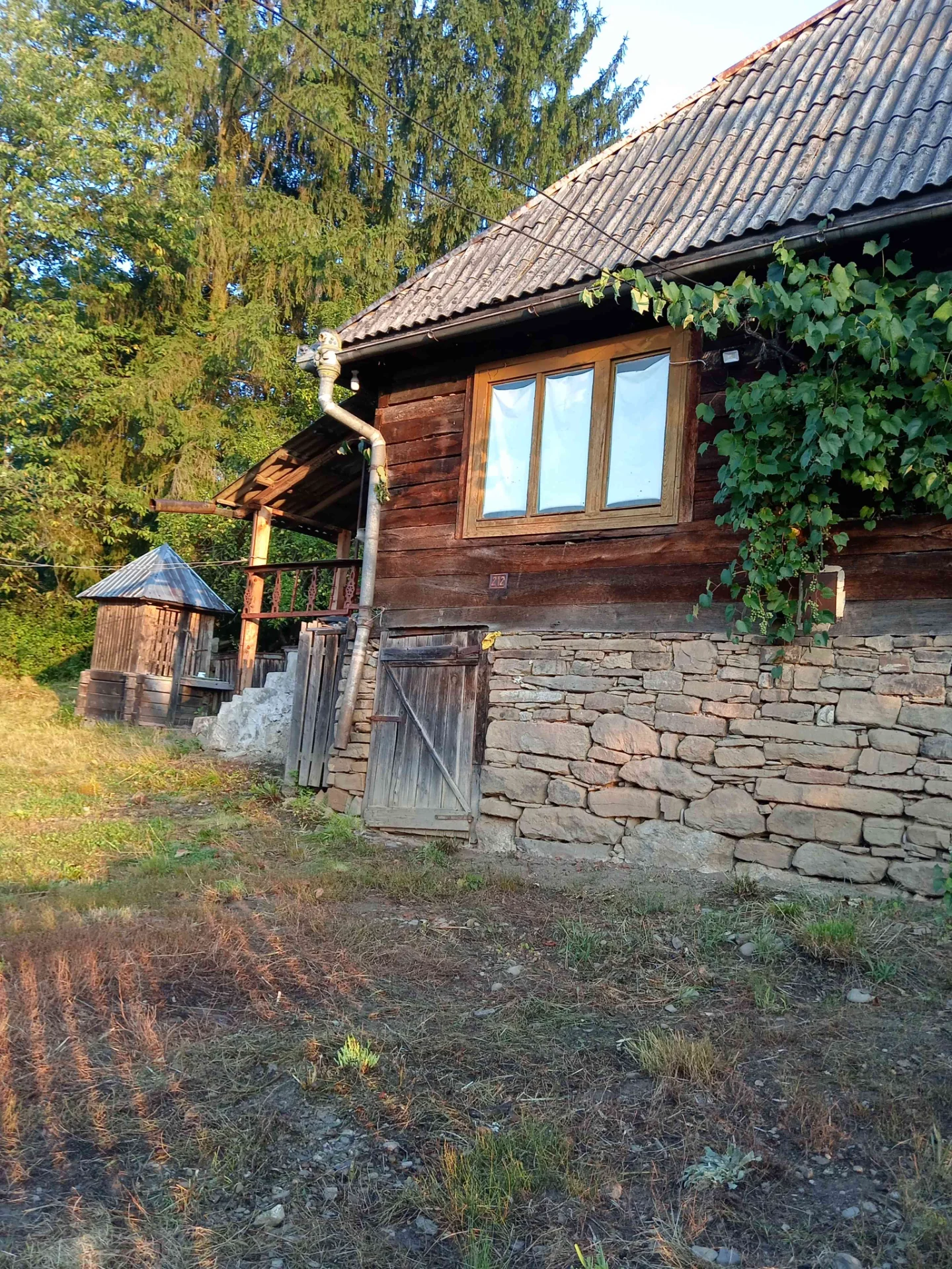 Unic proprietar – Rona de Jos, Maramureș