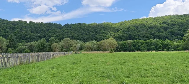 Teren 4.950 mp in Vama Buzaului - sat Buzaiel. – fotografia 3 din 6