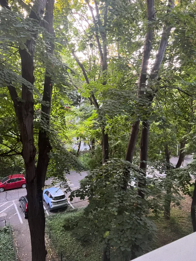 Vânzare apartament cu 2 camere, 3/4, situat în cartierul Pajura, pe Strada Pajurei nr. 19, – fotografia 4 din 8
