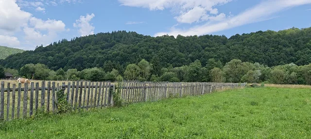 Teren 4.950 mp in Vama Buzaului - sat Buzaiel. – fotografia 4 din 6