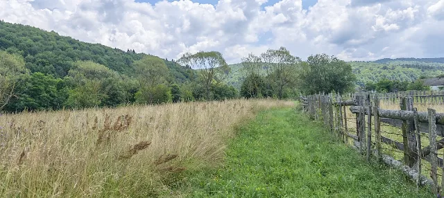 Teren 4.950 mp in Vama Buzaului - sat Buzaiel. – fotografia 6 din 6