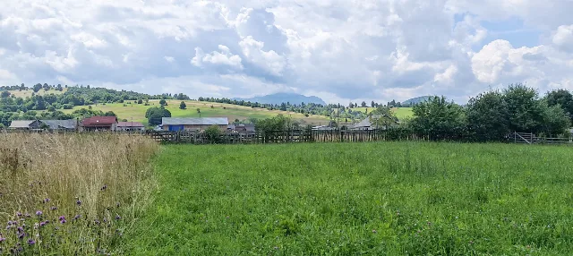 Teren 4.950 mp in Vama Buzaului - sat Buzaiel. – Brasov, Brașov