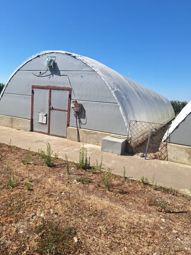Teren intravilan 10.000mp, casă și spații productie-depozitare în Mihail Kogălniceanu, jud Constanța – fotografia 2 din 3