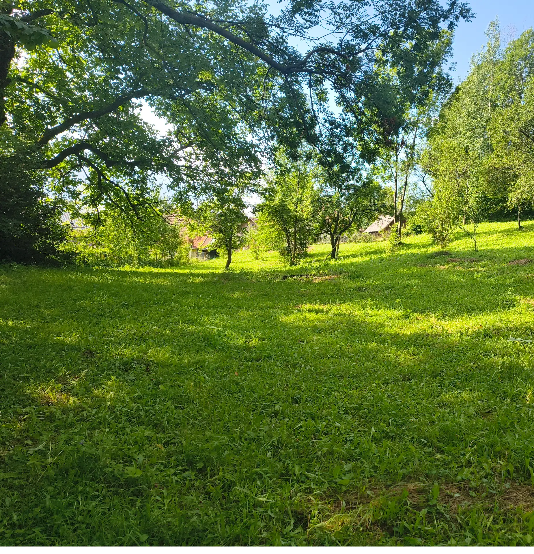 Teren Intravilan – fotografia 1 din 7