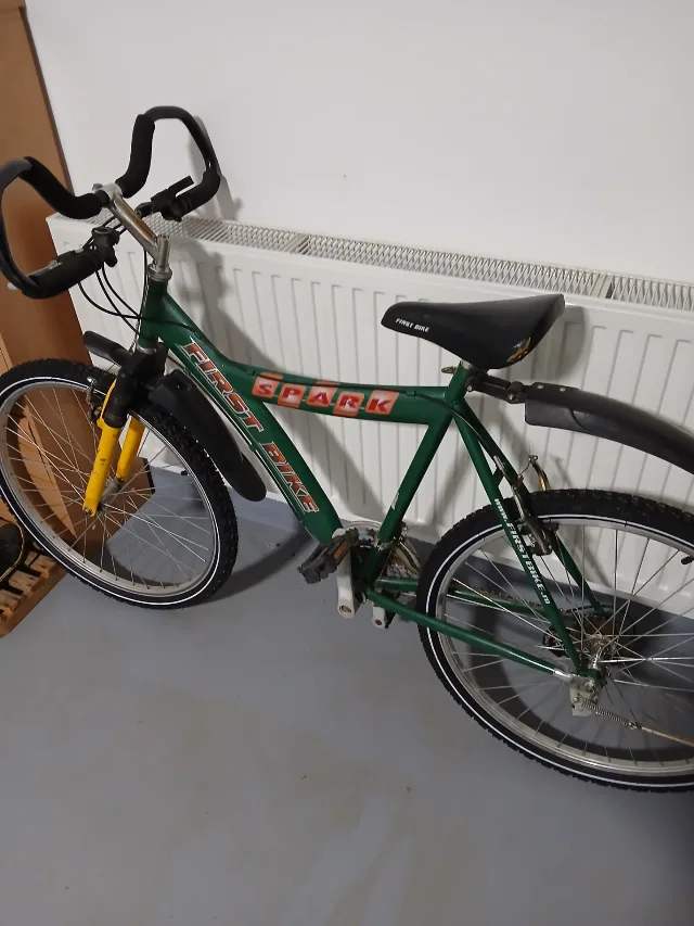 Bicicleta First Bike – fotografia 3 din 3