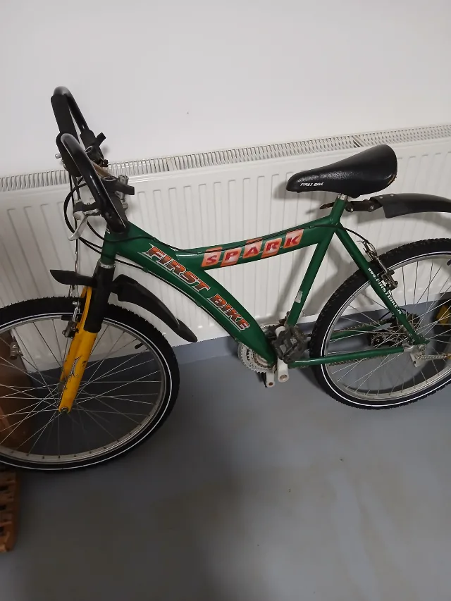 Bicicleta First Bike – fotografia 2 din 3