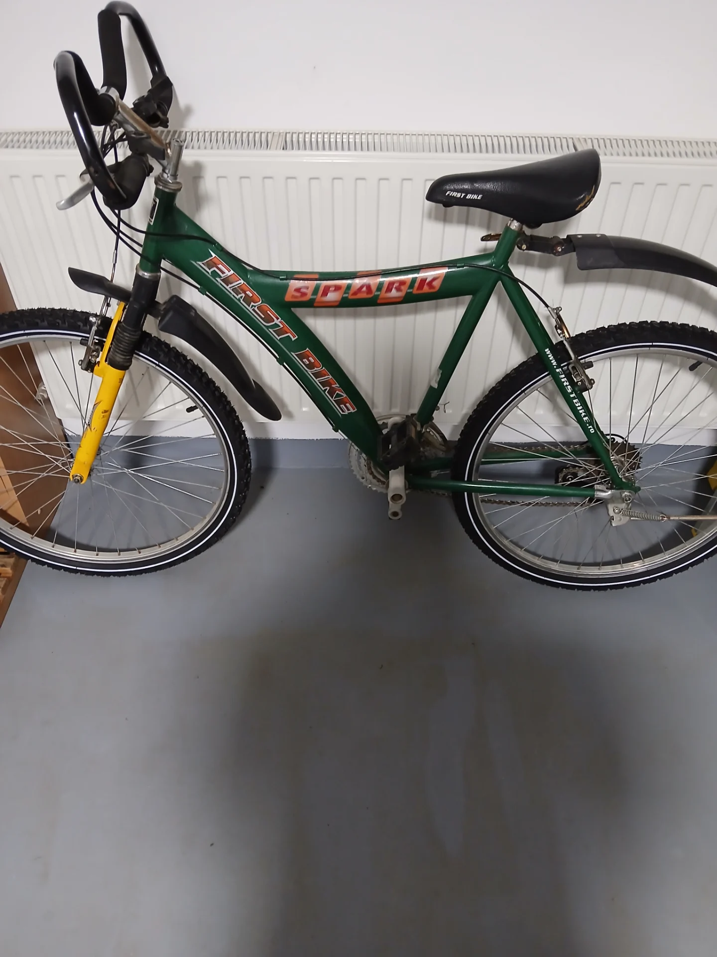 Bicicleta First Bike – fotografia 1 din 3