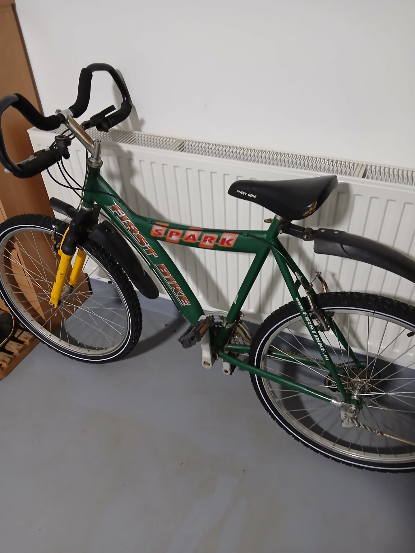 Bicicleta First Bike – fotografia 1 din 3
