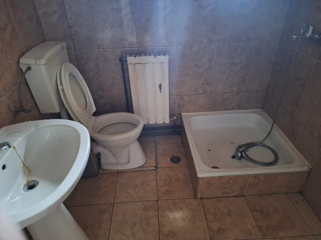 Vand casa Timisoara – fotografia 3 din 4