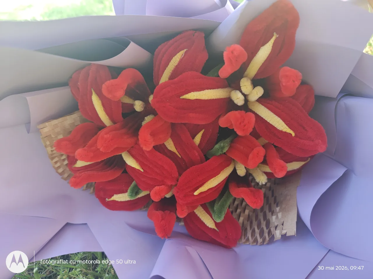 Buchet irisi rosi – fotografia 1 din 4