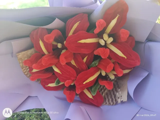 Buchet irisi rosi – Slatina, Olt