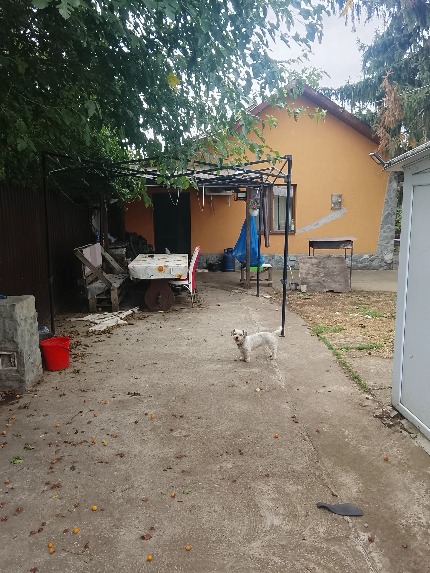 Vând casă în Ialomita – Dridu, Ialomița