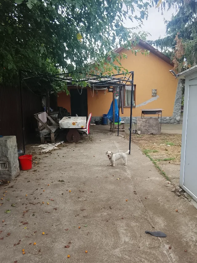 Vând casă în Ialomita – Dridu, Ialomița