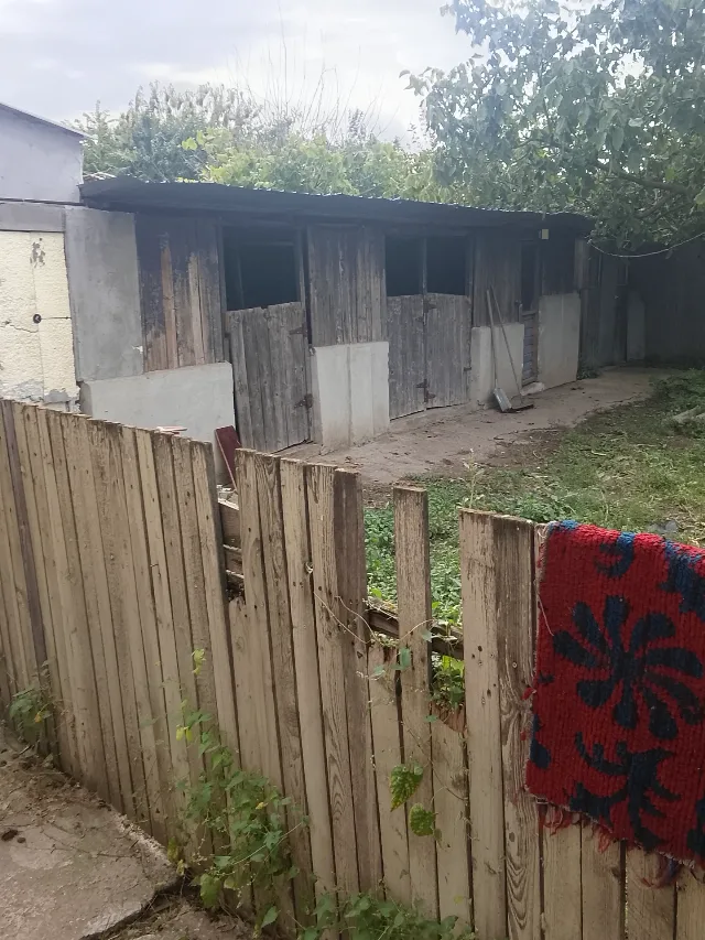Vând casă în Ialomita – fotografia 6 din 8