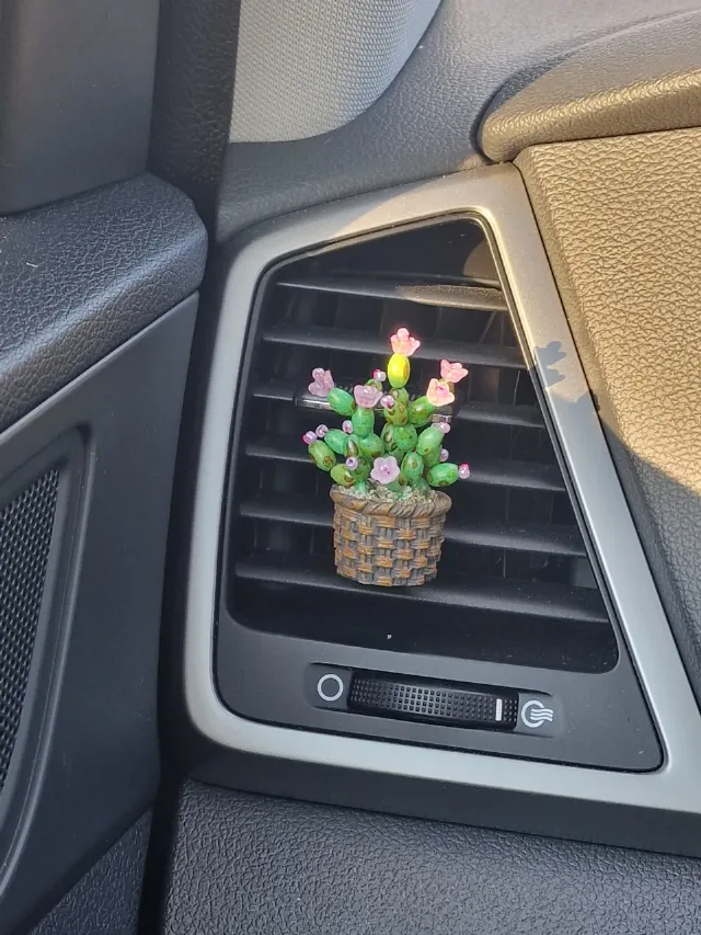 Cactus decorative pentru mașină – fotografia 3 din 5