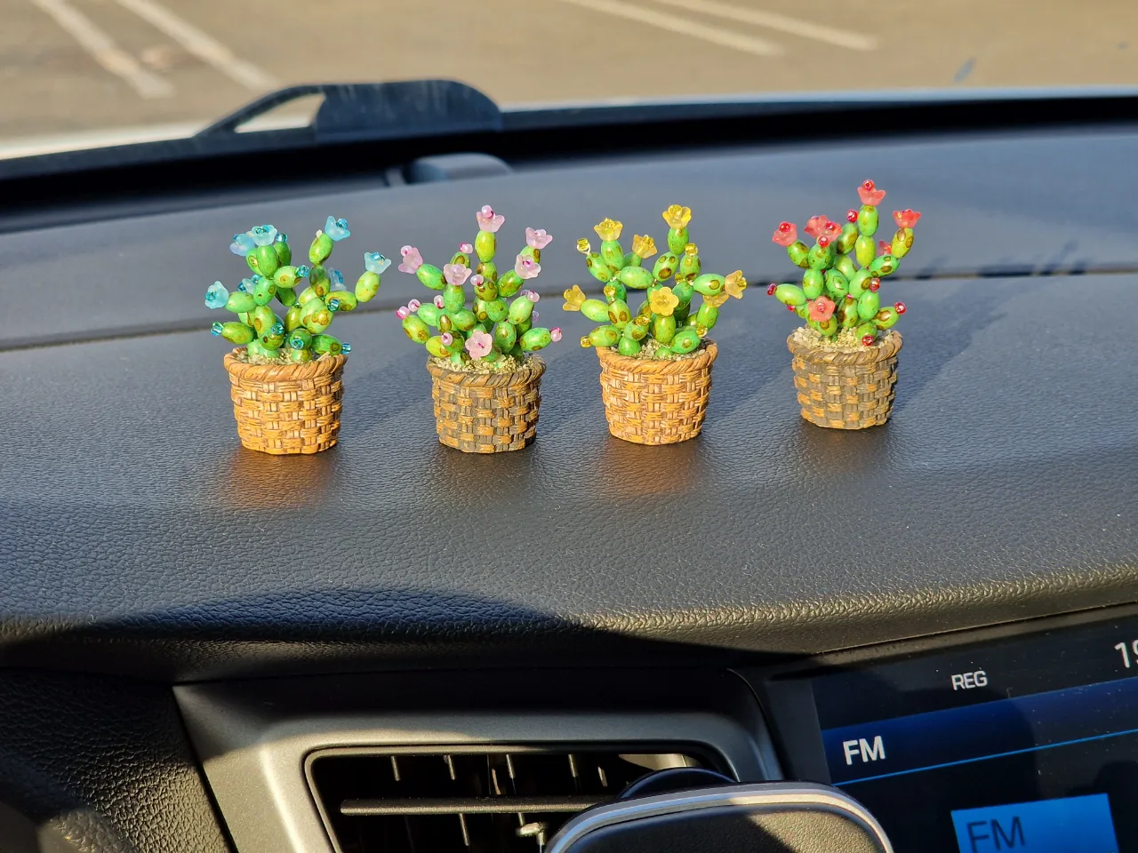 Cactus decorative pentru mașină – Targu Mures, Mureș