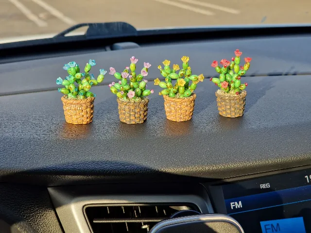 Cactus decorative pentru mașină – Targu Mures, Mureș