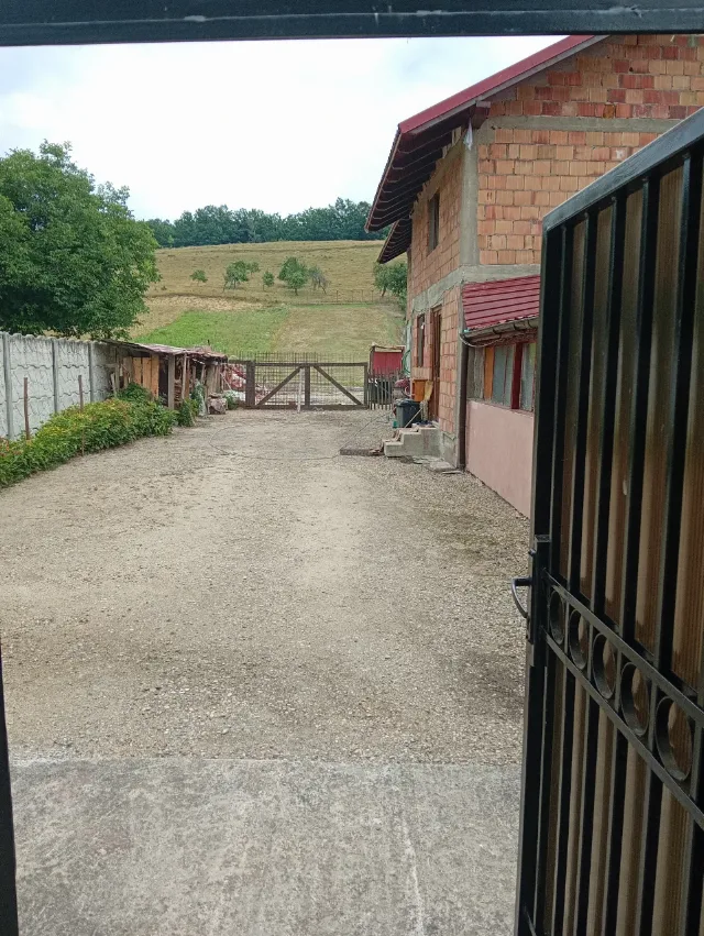 casă și grădină – fotografia 2 din 8
