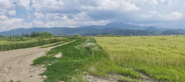 Teren extravilan in Rasnov. – fotografia 4 din 6