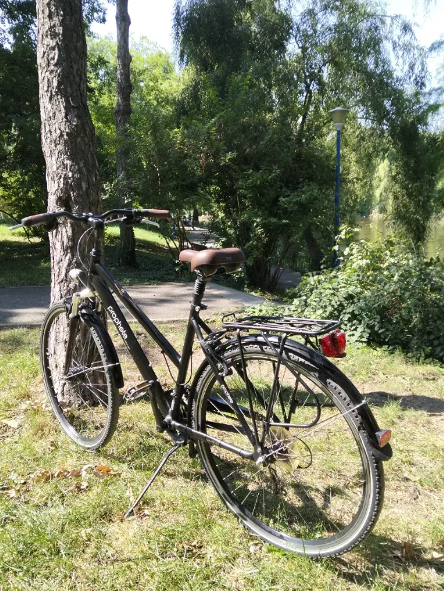 Bicicletă de oraș / trekking Prophete Comfort – Roți 28" – Pregătită de drum! – fotografia 2 din 6