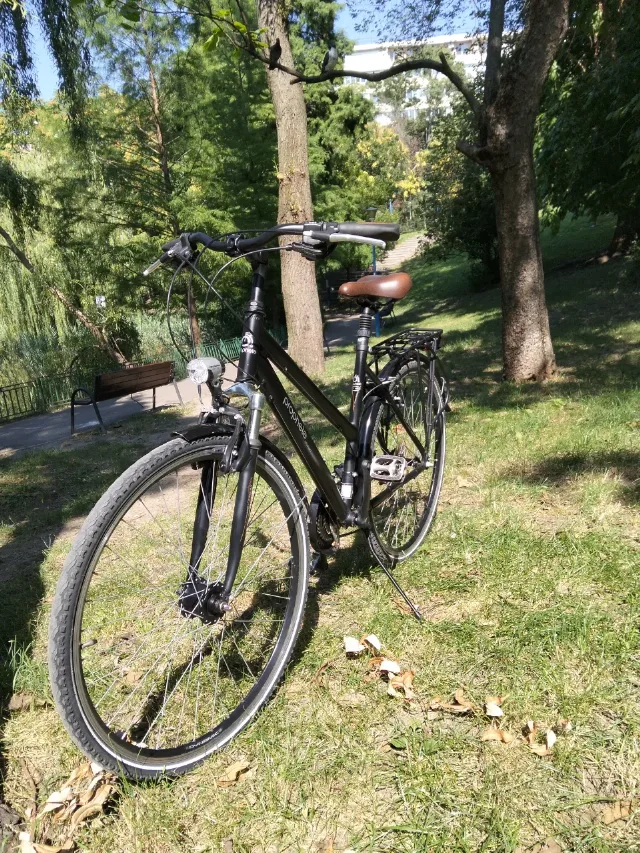 Bicicletă de oraș / trekking Prophete Comfort – Roți 28" – Pregătită de drum! – Sector 2, București
