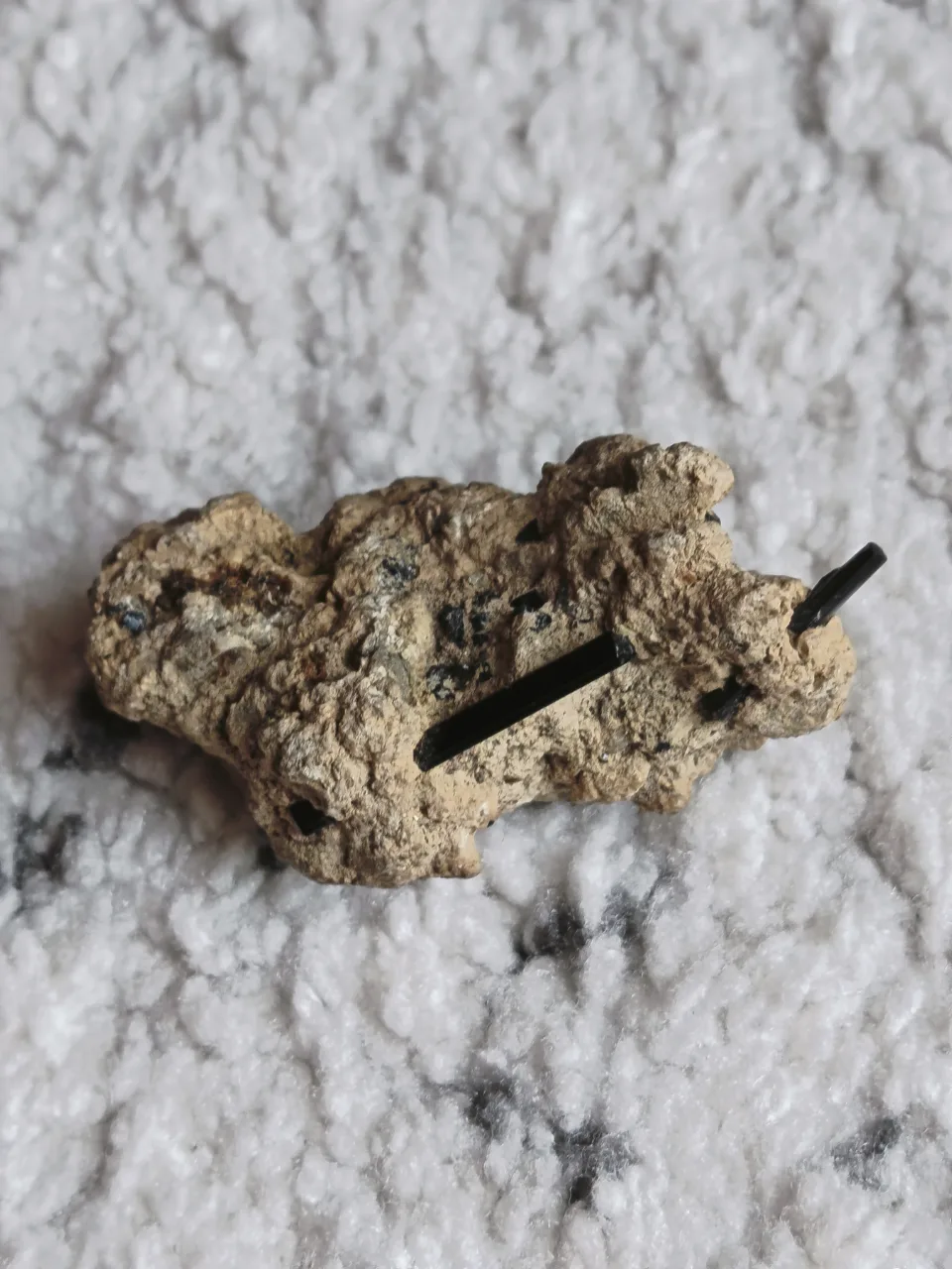 Eșantion Mineralogic Deosebit – Turmalină Neagră (Schorl) în Matrice Naturală – Bistrița-Năsăud, Bistrița-Năsăud