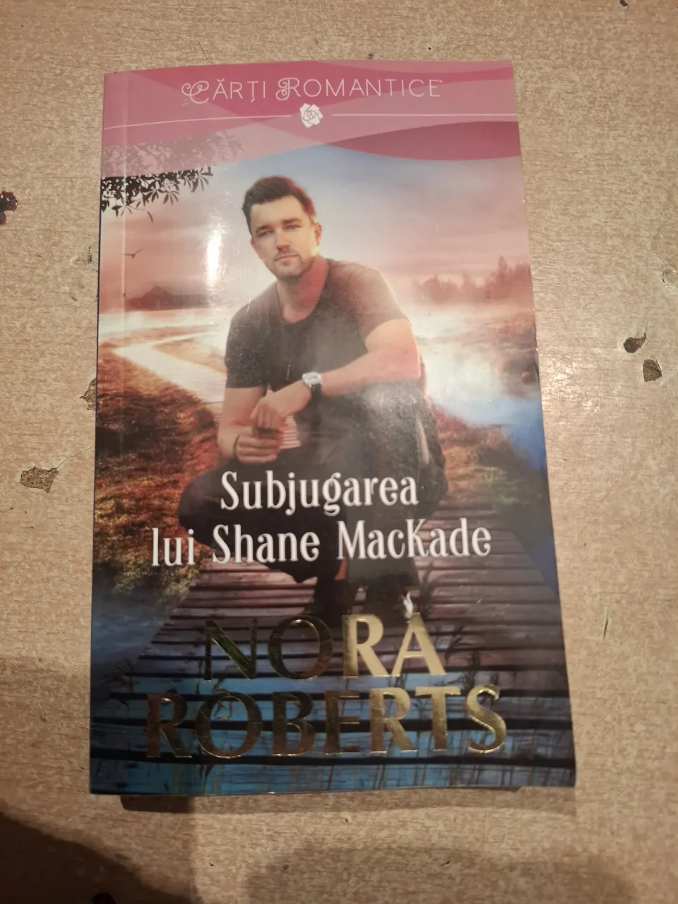 nora roberts-subjugarea lui shame mackade – Craiova, Dolj