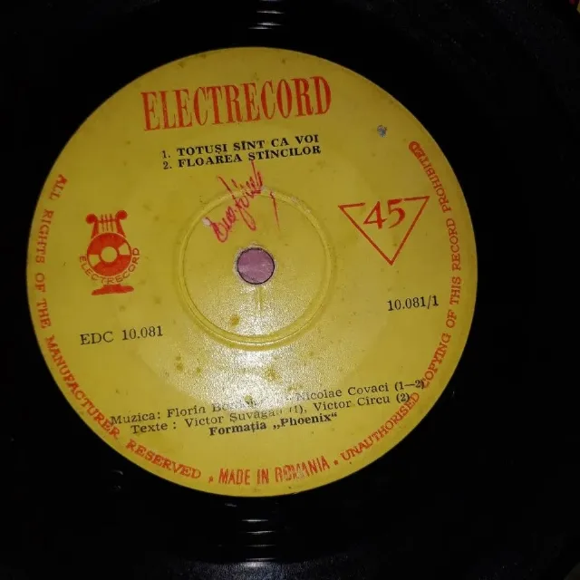 Lot viniluri 7",Electrecord ,International – fotografia 3 din 8