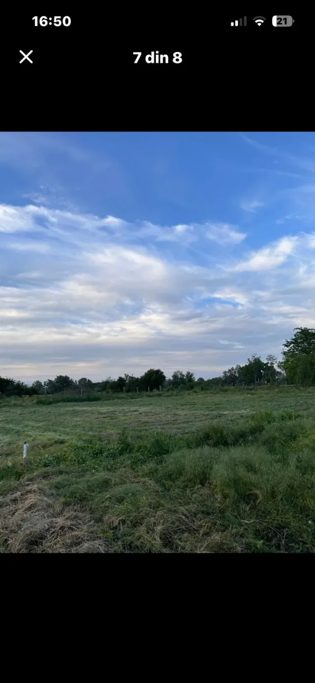 Terenuri de vanzare,intravilan – fotografia 6 din 8