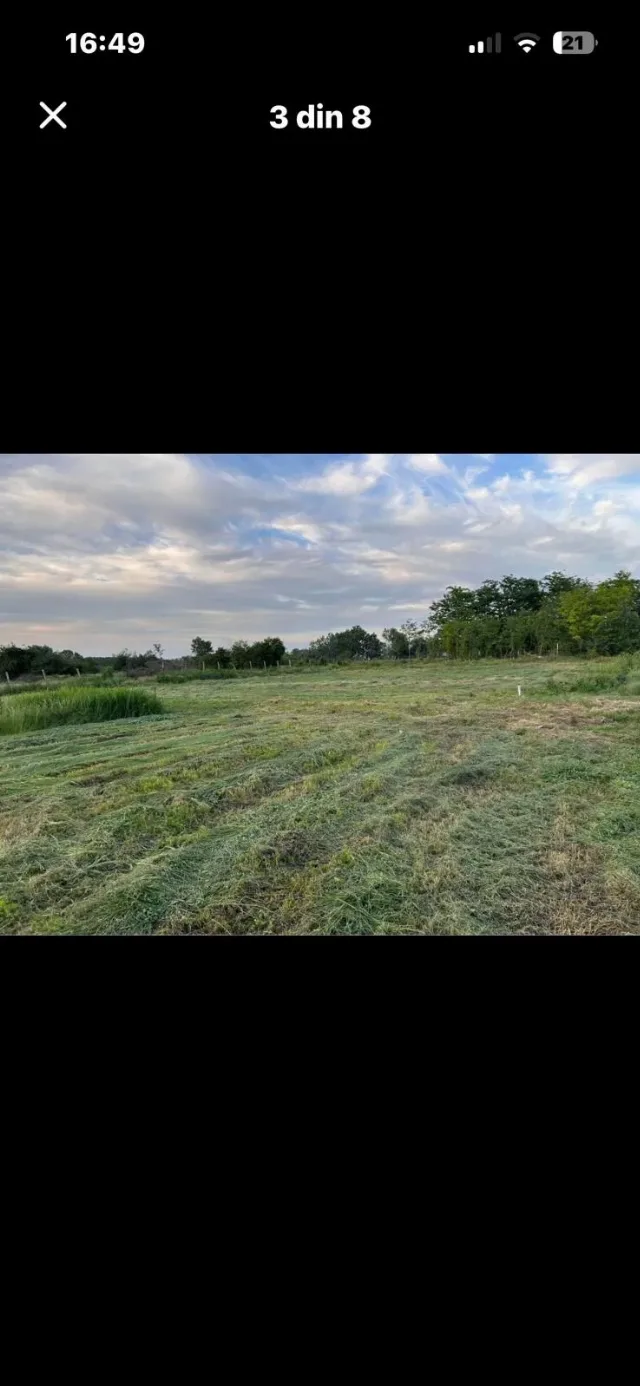 Terenuri de vanzare,intravilan – Cosambesti, Ialomița