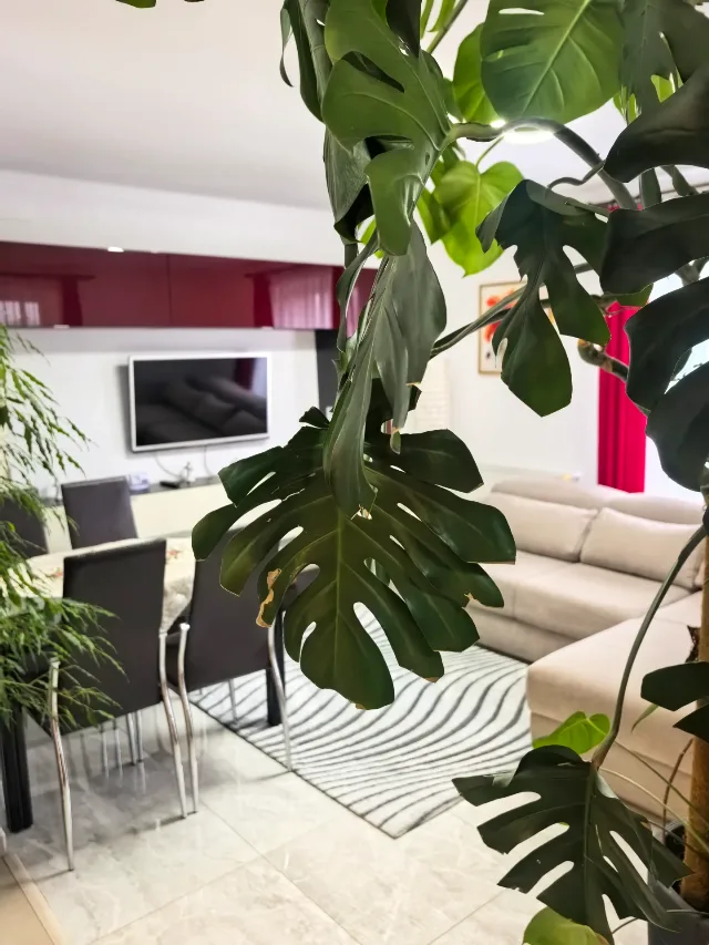 Vânzare ap 2 camere în Tohanul Nou - Brasov – fotografia 8 din 8