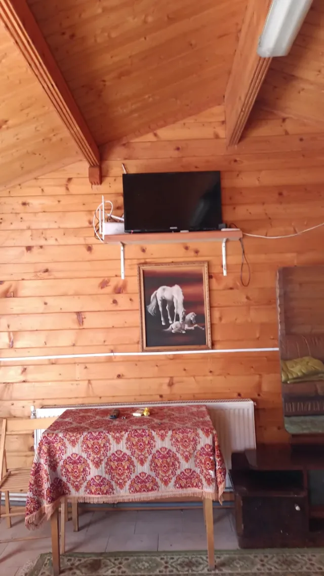 Cabana și casa la tara – fotografia 5 din 8