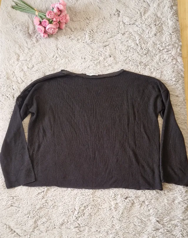 Top transparent, scurt in talie,  Zara, marimea S pe eticheta – fotografia 1 din 5
