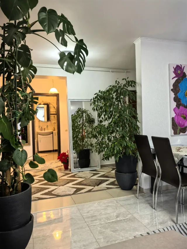 Vânzare ap 2 camere în Tohanul Nou - Brasov – fotografia 6 din 8