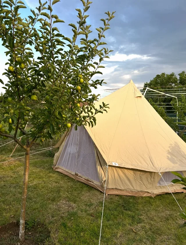 Cort glamping 4 m Bell Tent Sussex – fotografia 3 din 8