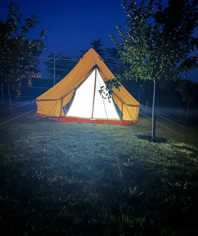 Cort glamping 4 m Bell Tent Sussex – fotografia 2 din 8