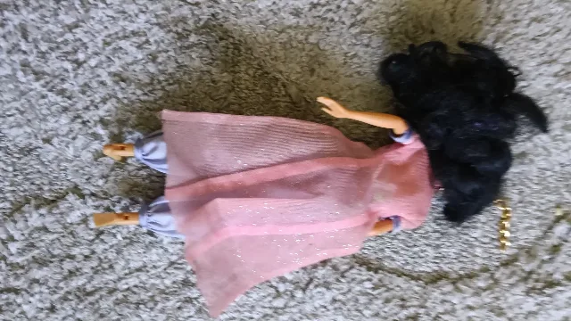 Păpușă Barbie pentru fetițe – fotografia 3 din 8