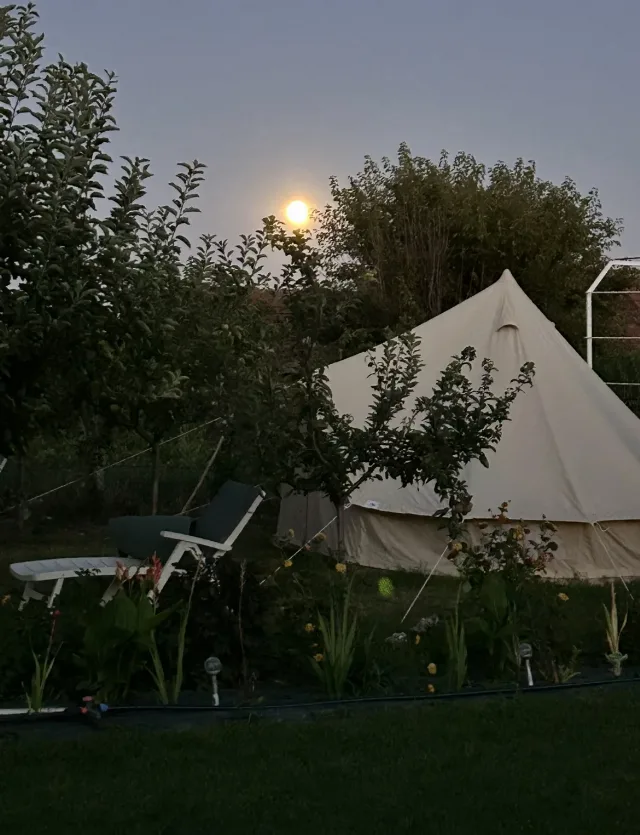 Cort glamping 4 m Bell Tent Sussex – fotografia 8 din 8