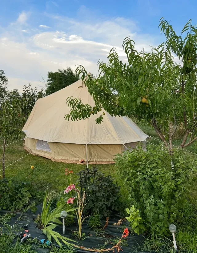Cort glamping 4 m Bell Tent Sussex – fotografia 4 din 8