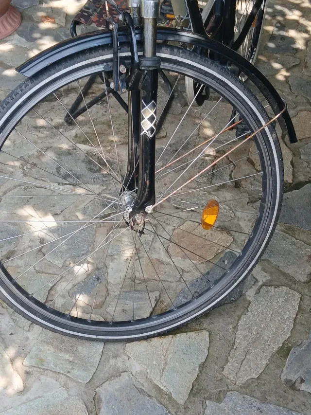 Bicicletă damă 1/3 – fotografia 7 din 7