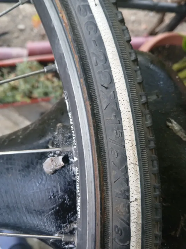 Bicicletă damă 1/3 – fotografia 5 din 7