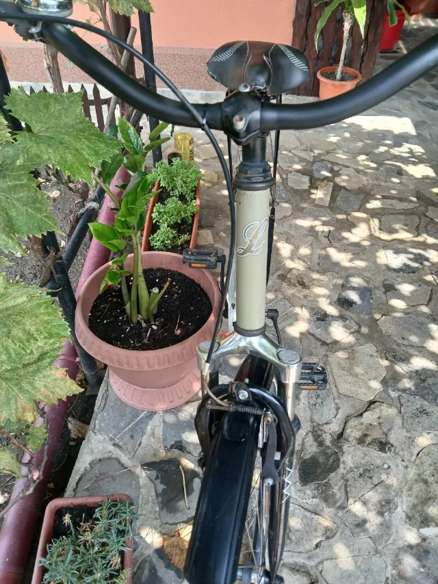 Bicicletă damă 1/3 – fotografia 4 din 7