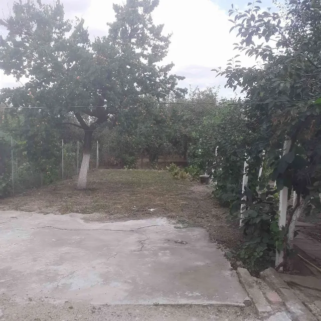 Vînd casă în Micălaca zona calu bălan – fotografia 6 din 6