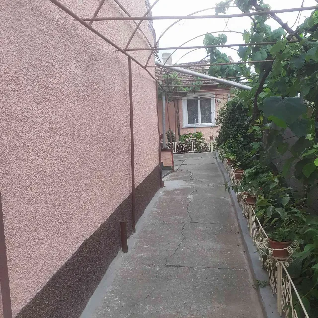 Vînd casă în Micălaca zona calu bălan – fotografia 2 din 6