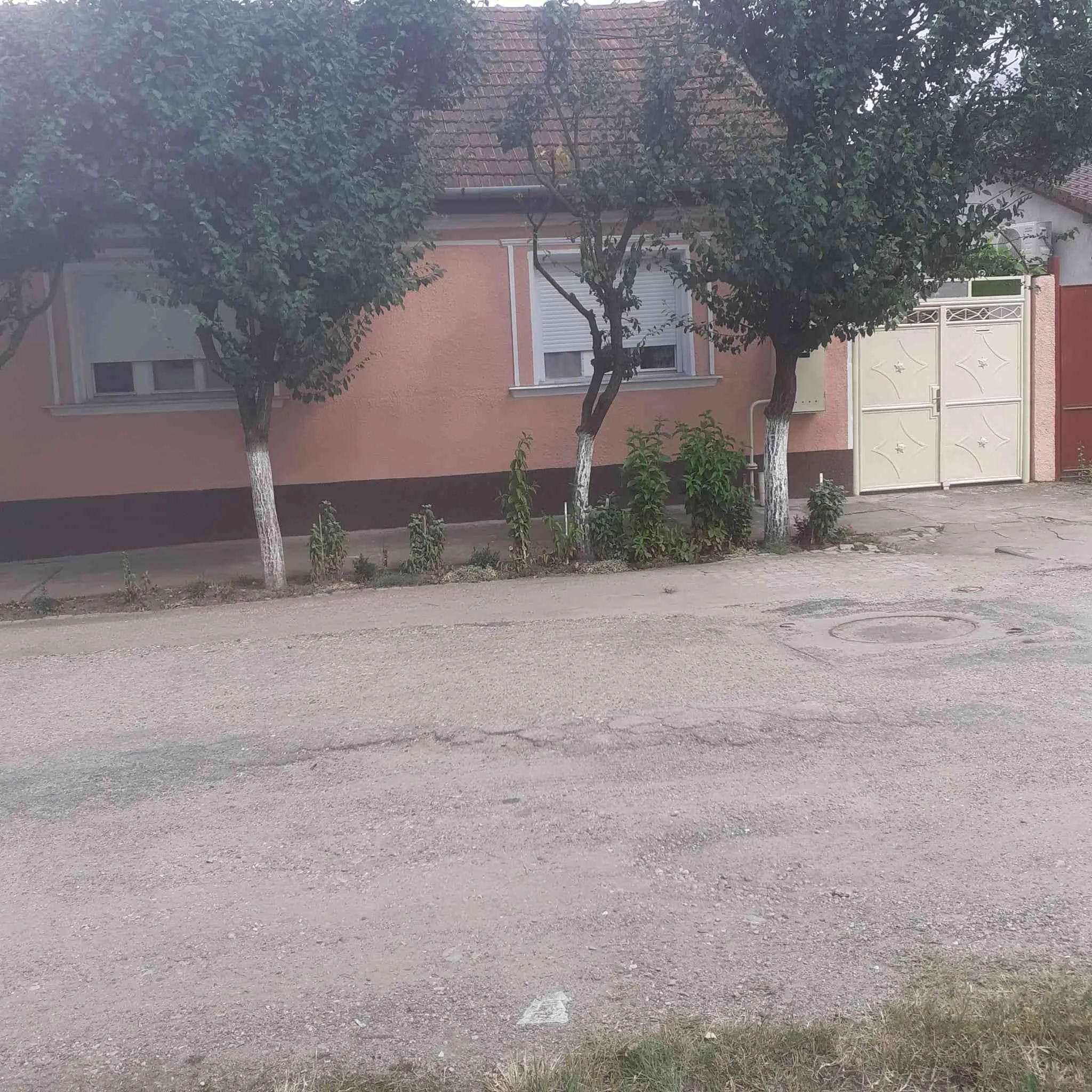 Vînd casă în Micălaca zona calu bălan – fotografia 1 din 6