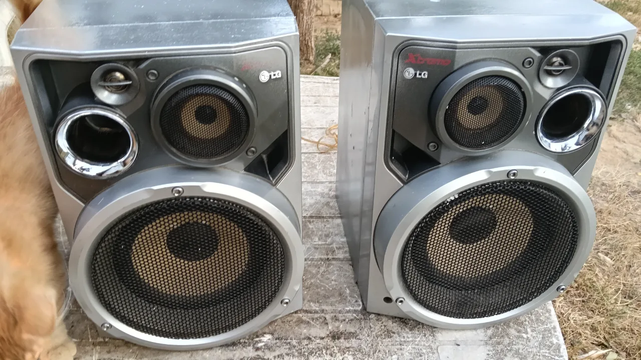 Boxe LG de 200 W pe 6 ohmi – fotografia 1 din 8
