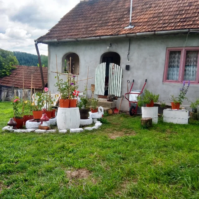 De vânzare casă la munte în jud Hunedoara – Baia de Cris, Hunedoara