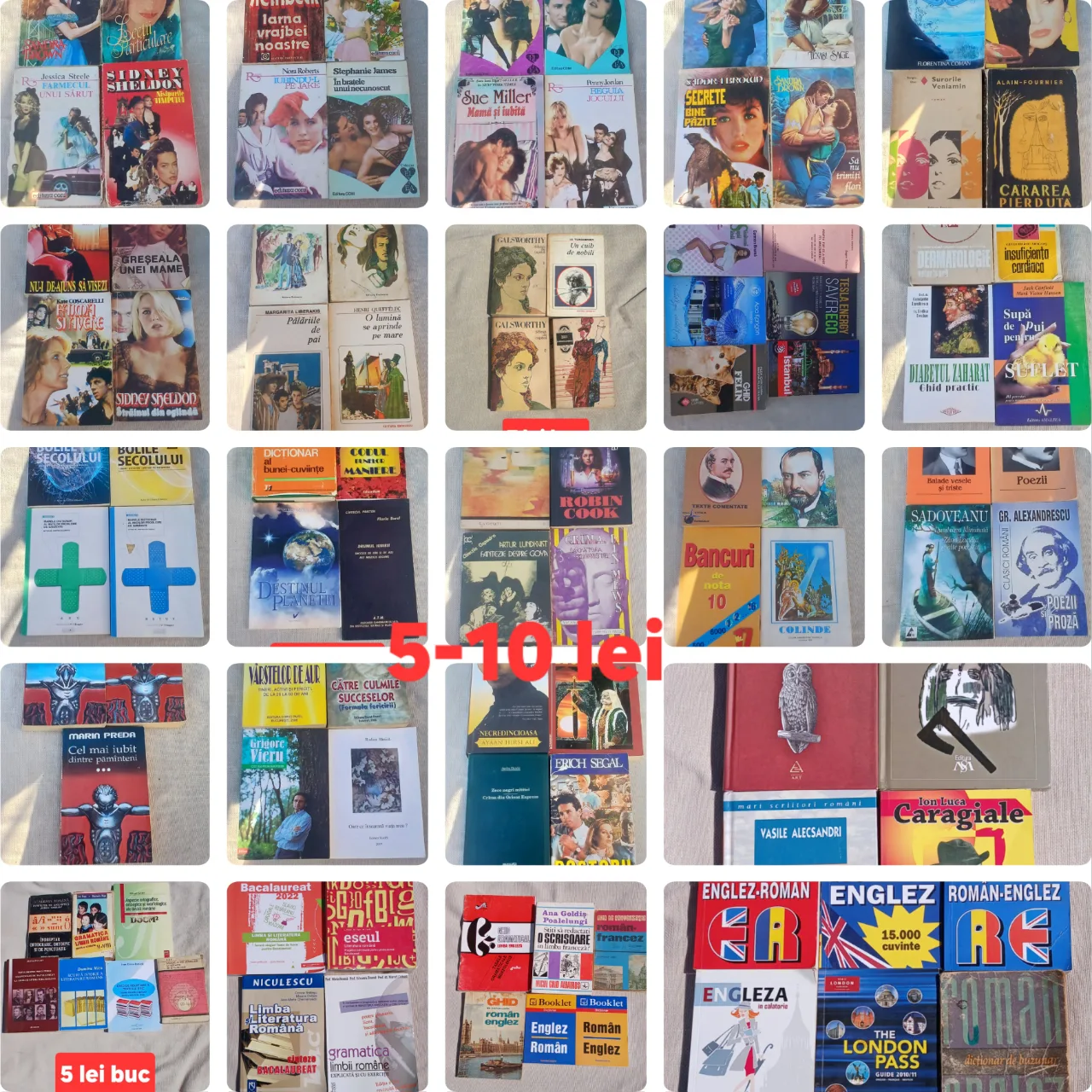 Cărți de specialitate și diverse – Constanța, Constanța