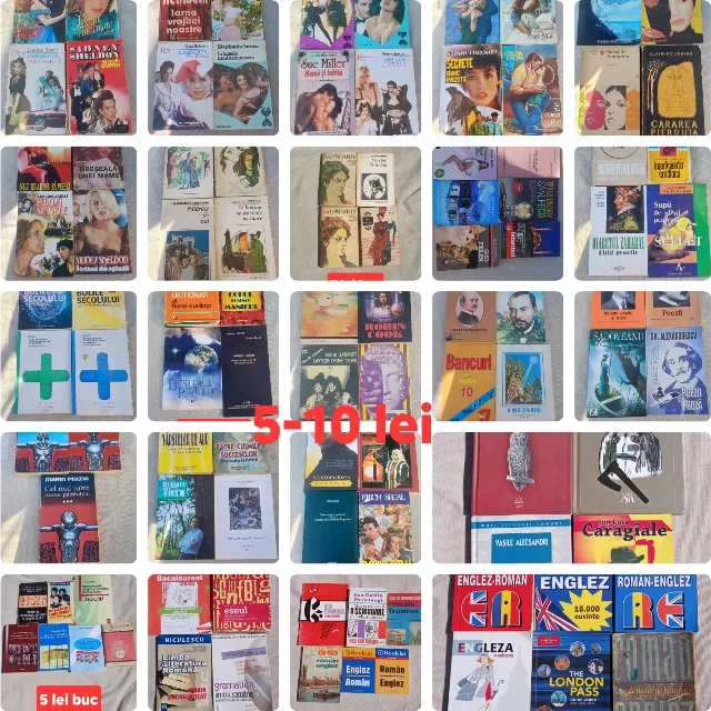 Cărți de specialitate și diverse – fotografia 1 din 2