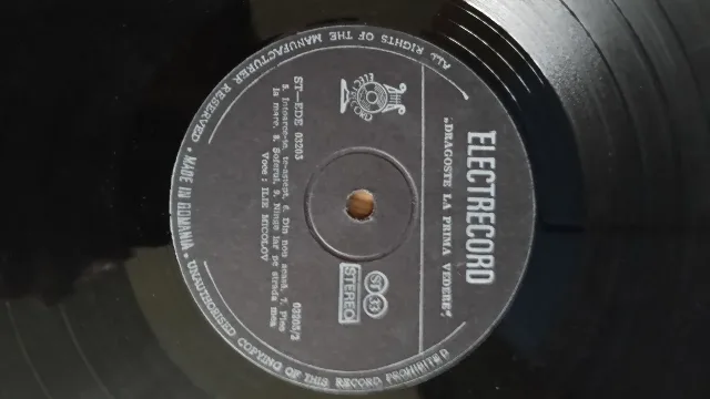 Discuri vinil pentru Pick up – fotografia 5 din 8